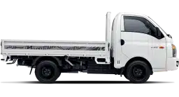 Image of H-100 truck